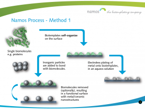 Namos GmbH Grafik Namos Process Biotemplating