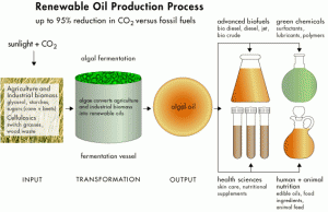 Solazyme Renewable Oil Production Process Solazyme Renewable Oil Production Process