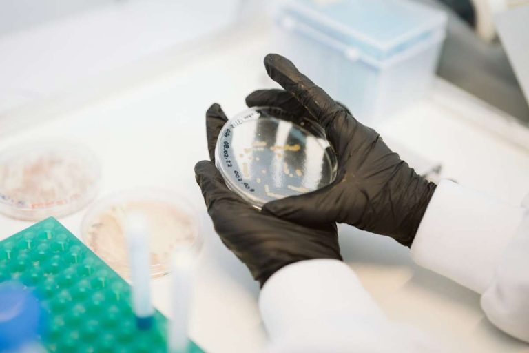 Präzisionsfermentation einfach erklärt
