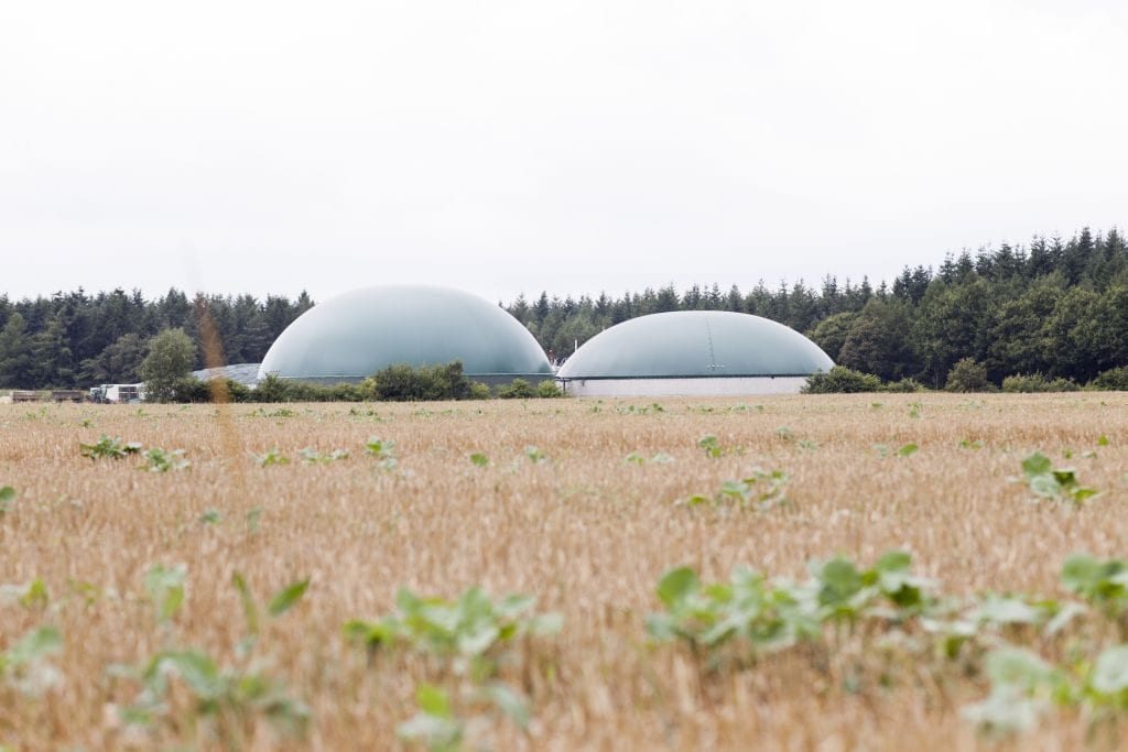 Biogasanlagen Virtuelle Kraftwerke 