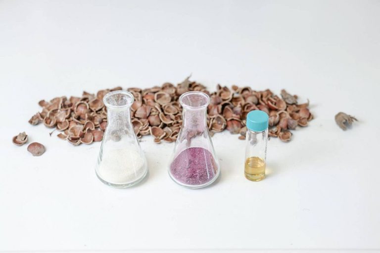 Bloom Biorenewables Cleantech-Startup Schweiz
