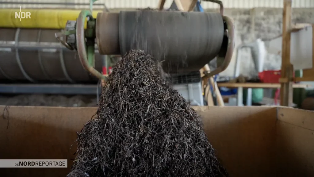 Build Blue getrocknete Seegrasdämmung