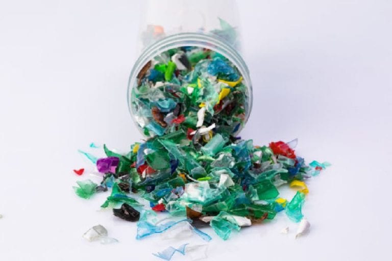 Carbios Cleantech-Startup enzymatisches PET-Recycling