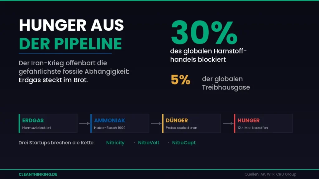 Cleanthinking Infografik Düngemittel Erdgas Alternative