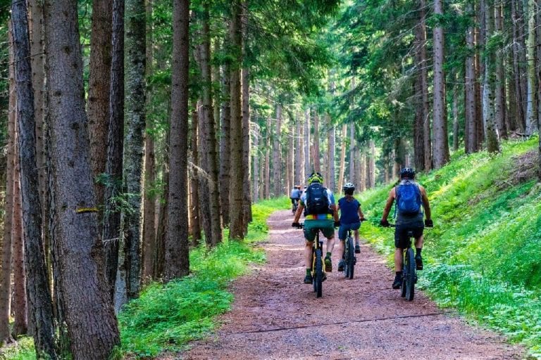 E-Bike-Revolution beginnt 2020