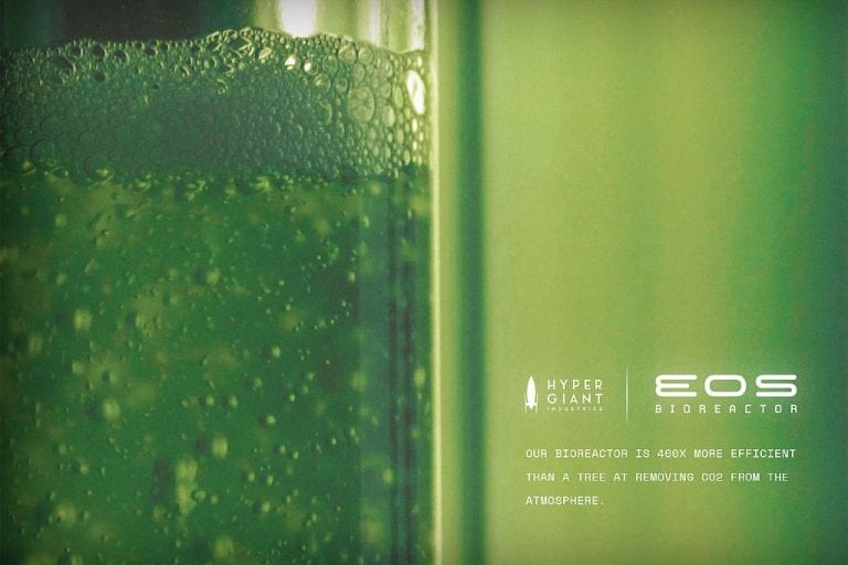 EOS Bioreaktor Algen CO2