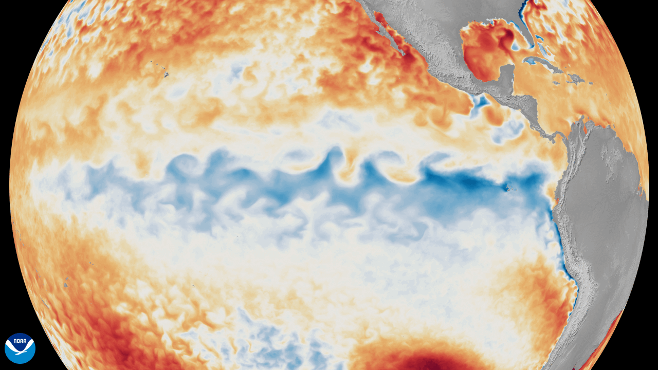 El Niño 2026: Was wirklich dahintersteckt 1 Animation der Meeresoberflächentemperatur im tropischen Pazifik von Januar bis Juni 2026, El Niño baut sich auf