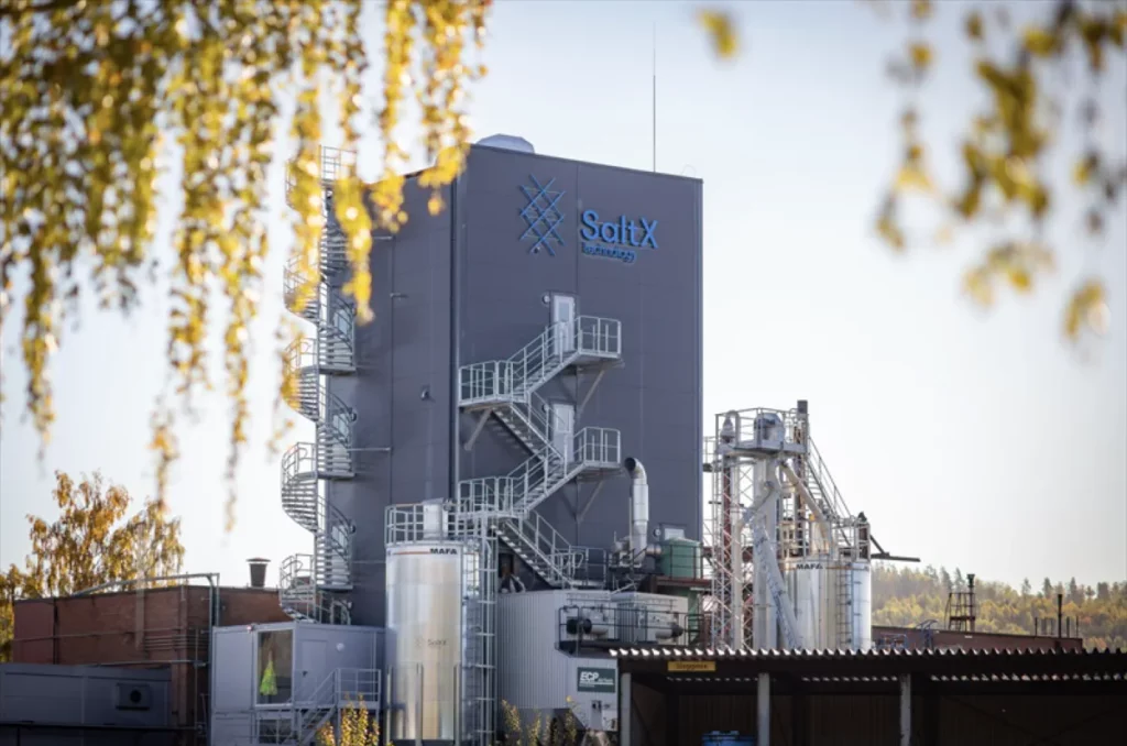 Elektrifizierter Zement: EU fördert Saltx, Holcim und Paebbl für Praxistest