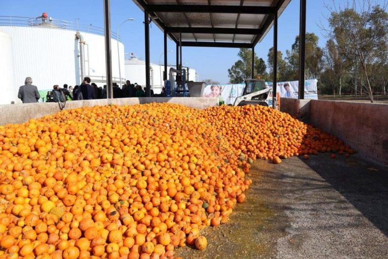 Sevillas Wasserversorger Emasesa nutzt 35 Tonnen unbrauchbarer Orangen zur Stromversorgung einer Kläranlage 9 Sevilla-Orange Emasesa Stromerzeugung