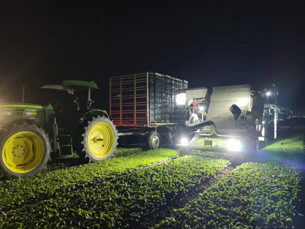 Nächtliche Ernte in Kalifornien: Nitricitys organischer Dünger wird bereits von Farmern im Central Valley eingesetzt.