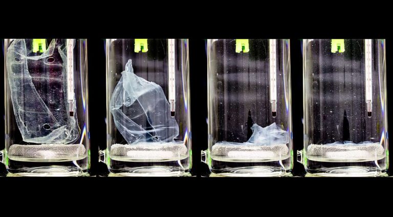 Ester Biotech Enzymatisches Plastikrecycling