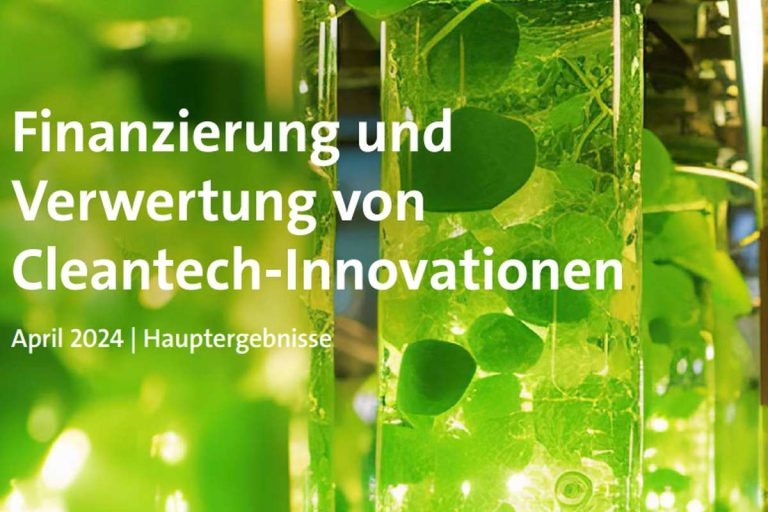 Finanzierung und Verwertung von Cleantech Innovationen