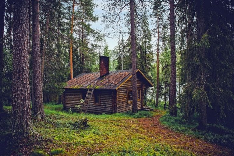 Finnland will bis 2035 klimaneutral werden 7 Finnland klimaneutral