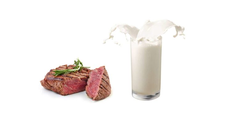 Fleisch Milch auf Zellbasis zelluläre Landwirtschaft
