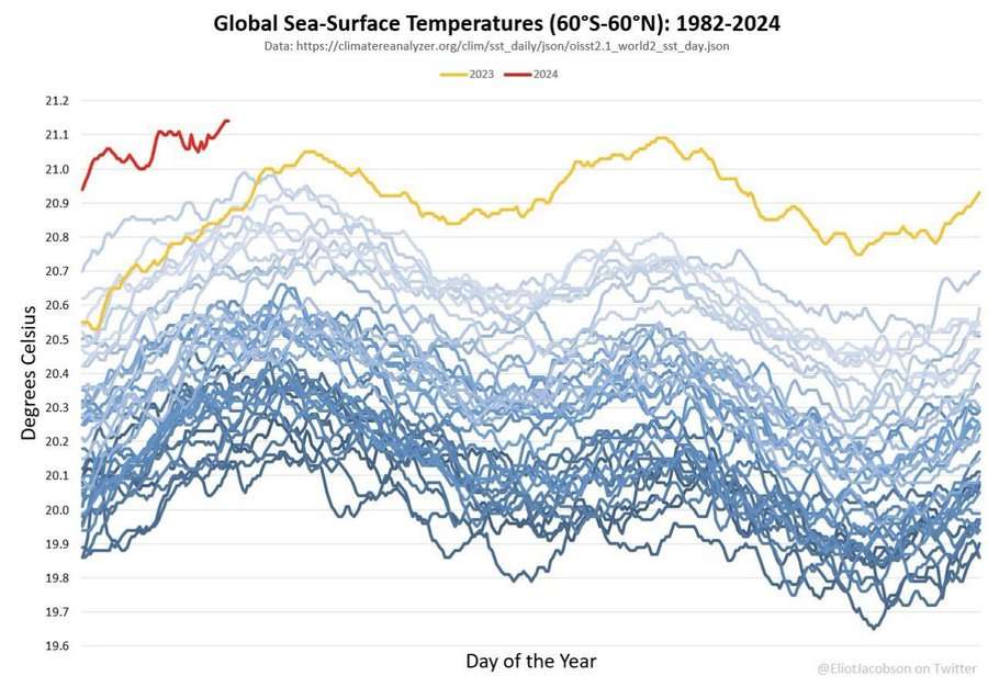 Globale Oberflaechentemperatur Grafik bis Februar 2024