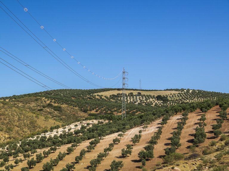Iberischer Blackout: Hochspannungsleitungen über Olivenhainen in Spanien: Der Netzausbau ist entscheidend für die Energiewende.
