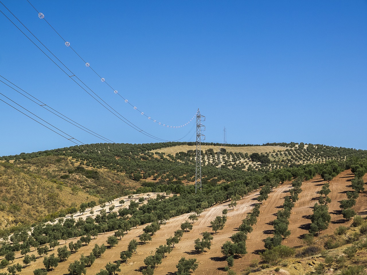 Iberischer Blackout: Hochspannungsleitungen über Olivenhainen in Spanien: Der Netzausbau ist entscheidend für die Energiewende.