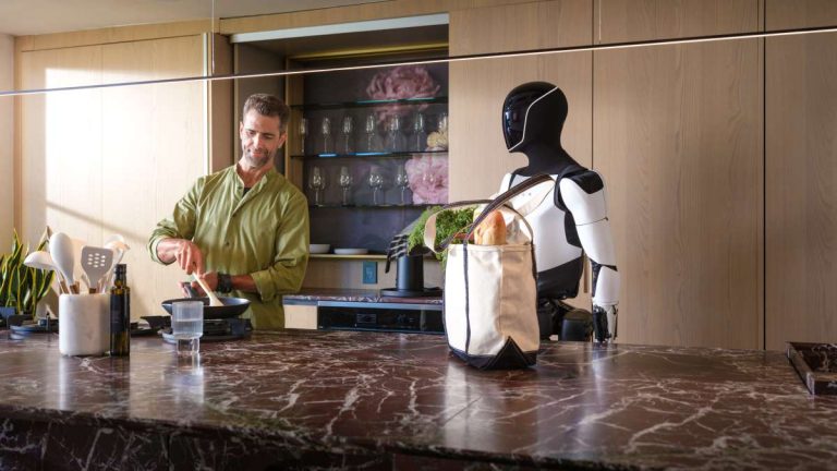 Humanoider Roboter Optimus beim Kochen tesla