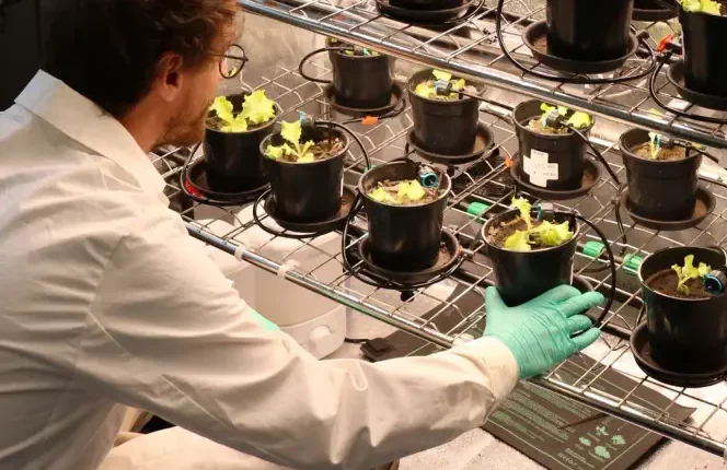 Humify Kühlschrank Humus