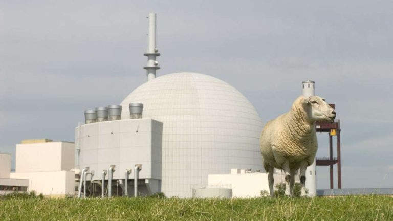 Batteriespeicher in Brokdorf: Wie dem Kernkraftwerk-Standort neues Leben eingehaucht wird 3 AKW Brokdorf mit Schaf