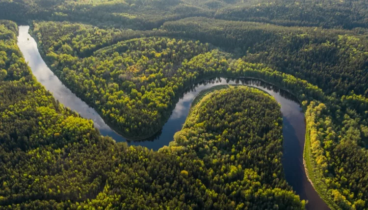 Kipppunkt Amazonas Regenwald Klimawandel