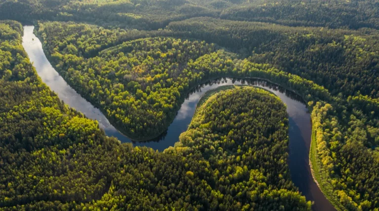 Kipppunkt Amazonas Regenwald Klimawandel