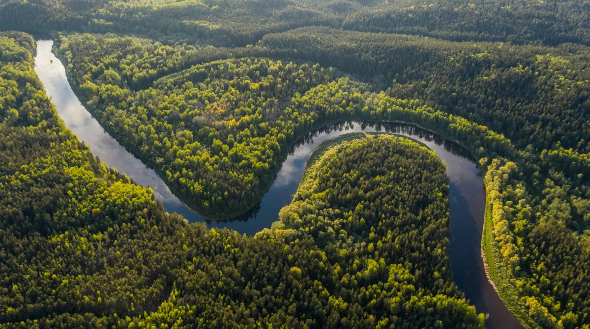 Kipppunkt Amazonas Regenwald Klimawandel