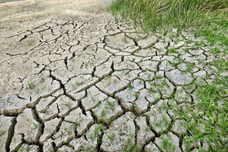 Klimaresiliente Entwicklung IPCC-Report Pixabay