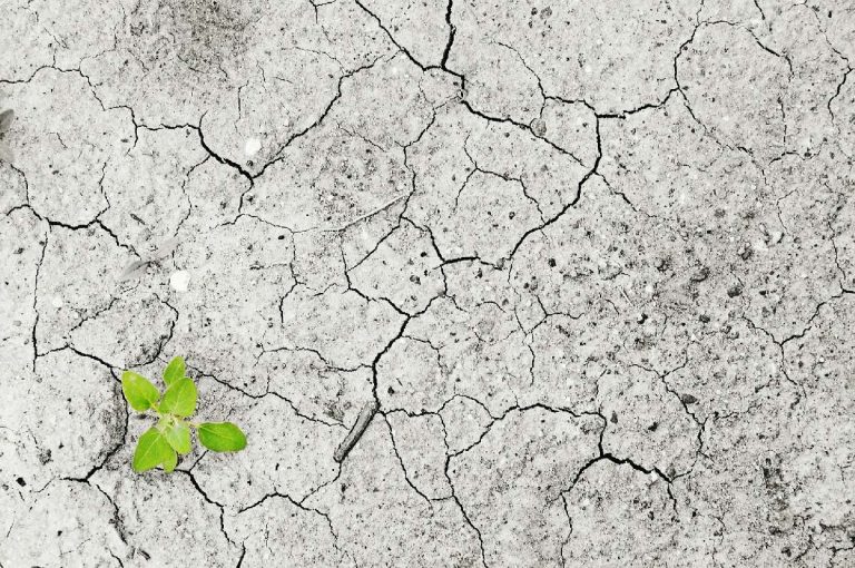 Klimawandel-Schäden Studie 900 Milliarden Euro