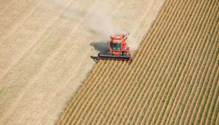 Lithos Carbon will CO2 in der Landwirtschaft entfernen