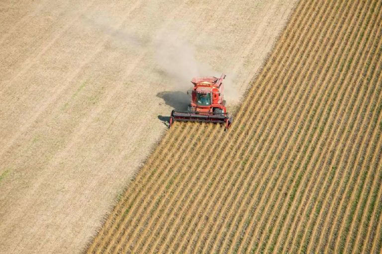 Lithos Carbon will CO2 in der Landwirtschaft entfernen