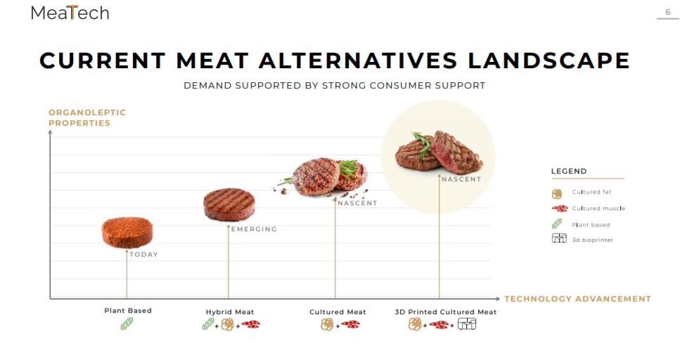 MeaTech-Grafik: Clean Meat-Stufen bis zum zellkultivierten Fleisch aus dem 3D-Drucker