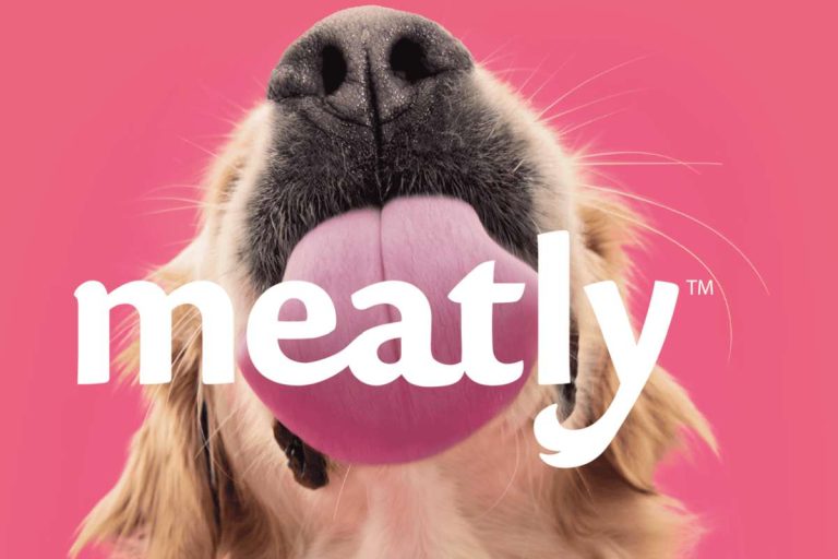 Hund Zunge Meatly