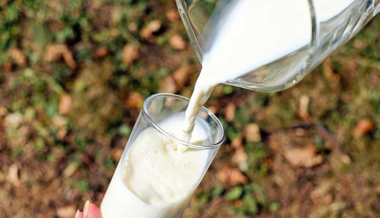 Milch Milchalternative Formo