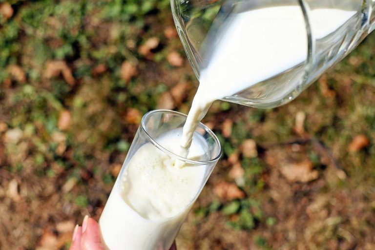 Milch Milchalternative Formo