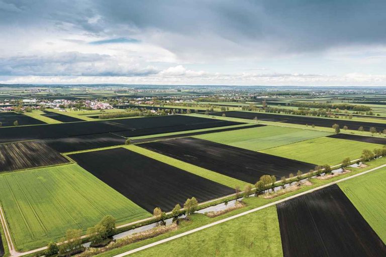 Moore Audi-Stiftung CO2-Langzeitspeicher Senken