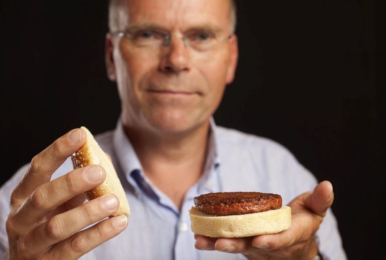 Mosa Meat Hamburger Fleisch aus Kuhzellen