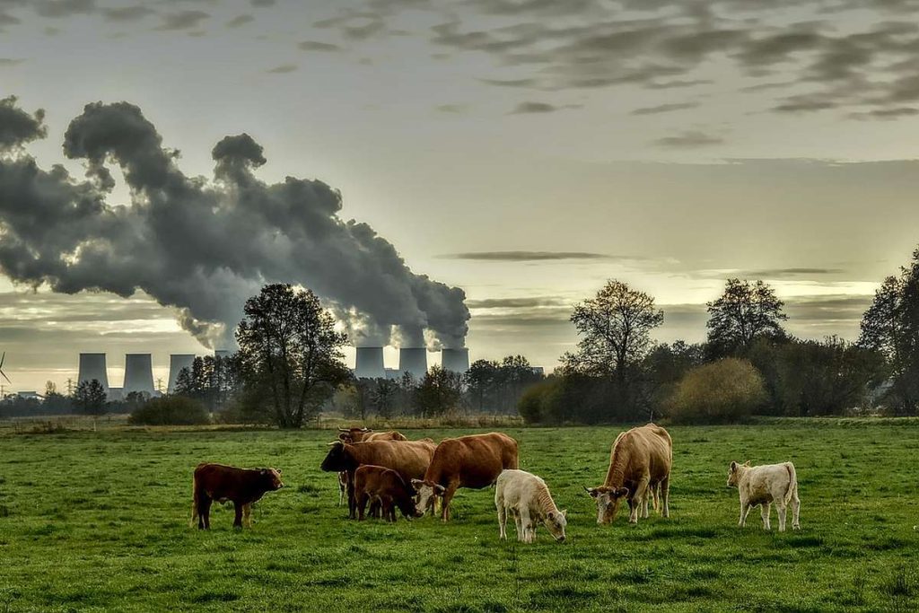 OECD-Studie Wirtschaft und Klimaschutz