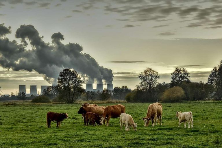 OECD-Studie Wirtschaft und Klimaschutz