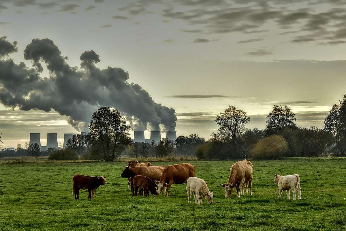 OECD-Studie Wirtschaft und Klimaschutz