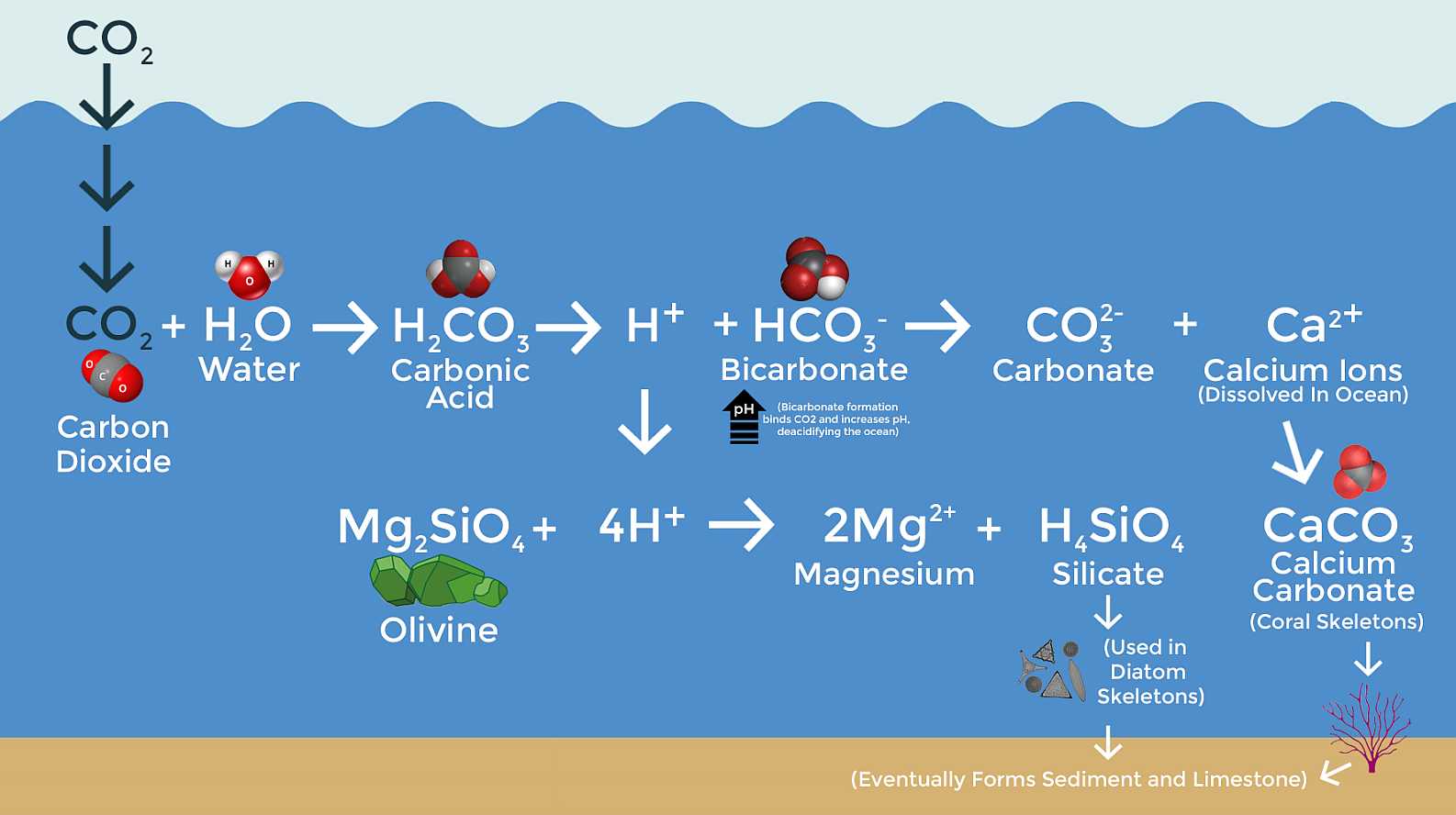Chemische Ableitung der Prozesse mit Olivin-Sand und Kohlendioxid.