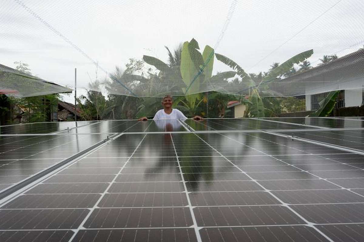 Solarmodule - finanziert durch die Übergewinnsteuer wäre Klimaschutz für Afrika
