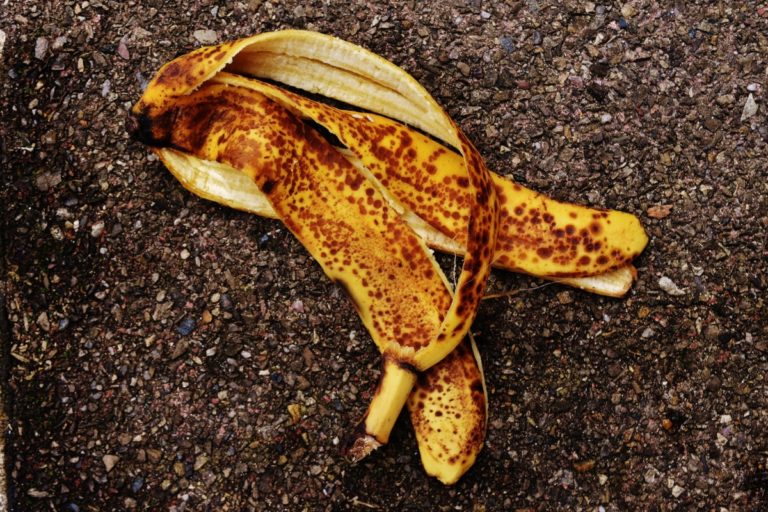 Schnelle Photopyrolyse Wasserstoff aus Bananenschalen
