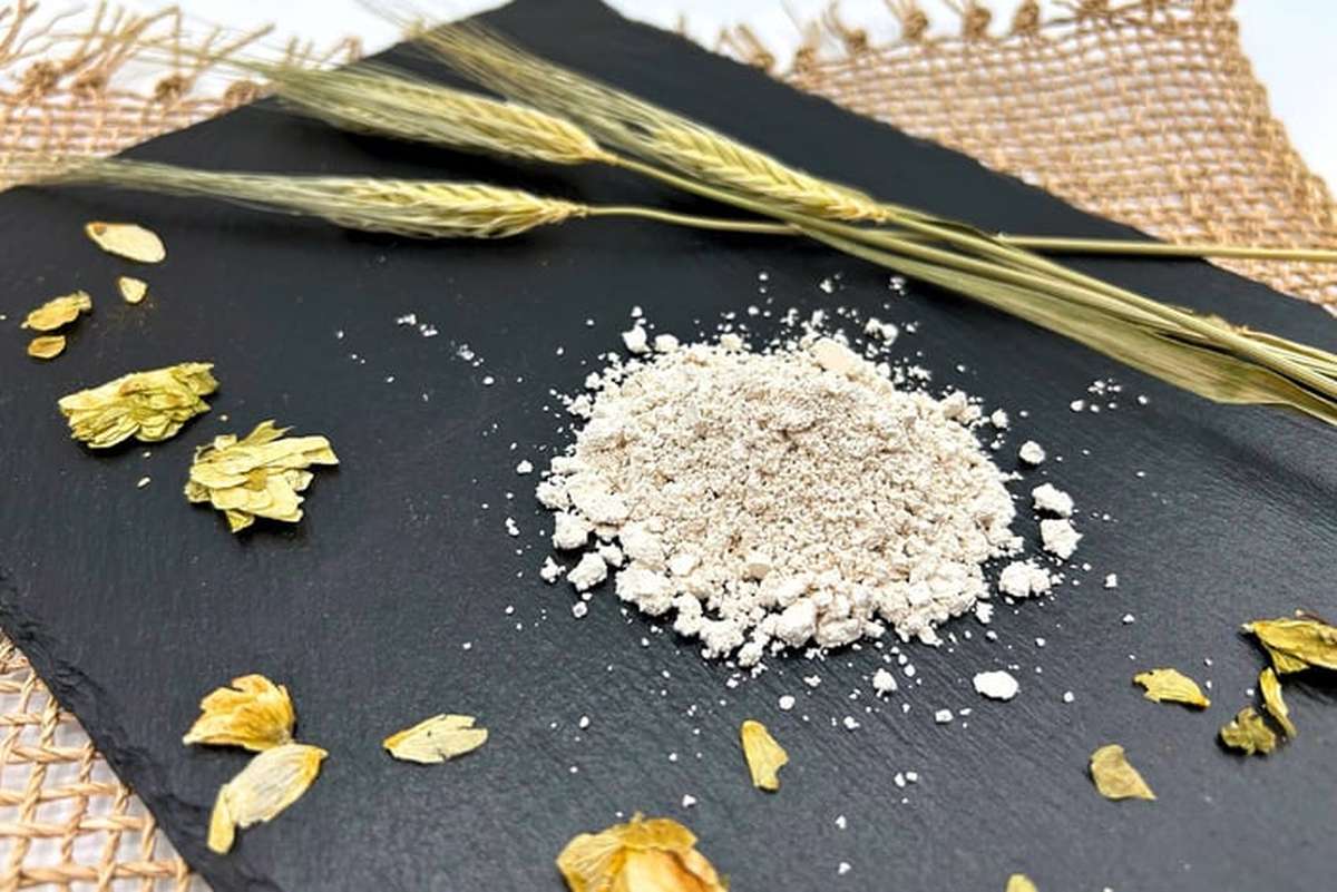 Protein Distillery Eiweisspulver aus Bierhefe