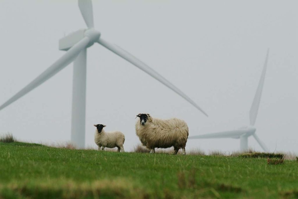 Stresstest für die deutsche Energiewende