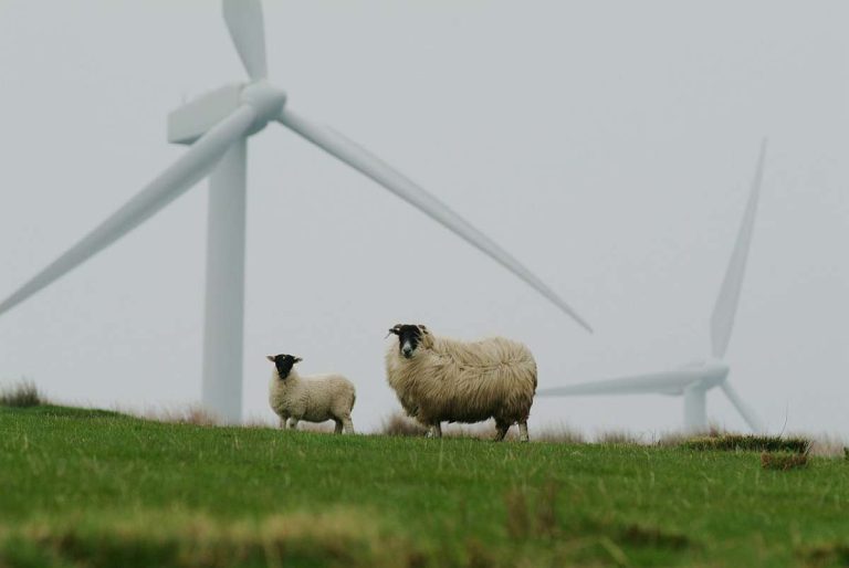 Stresstest für die deutsche Energiewende