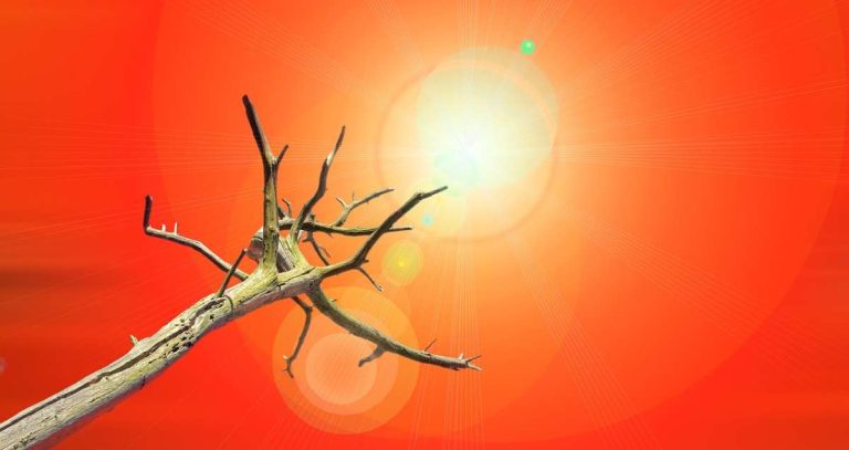 Temperaturrekorde purzeln - mangelnde Dynamik bei Regierungen zur Anpassung der Klimaziele