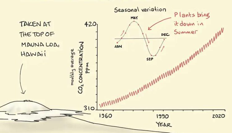 The Keeling Curve mit Erklärung