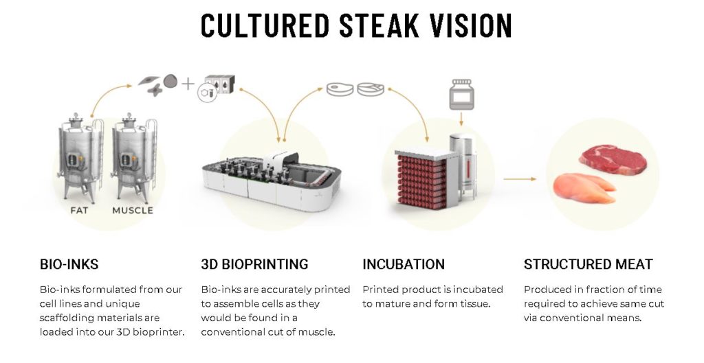 Entwicklung zellbasiertes Steak laut Steakholder Foods