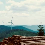 Windkraft: Die Märchen rund um Grimms Märchenwald